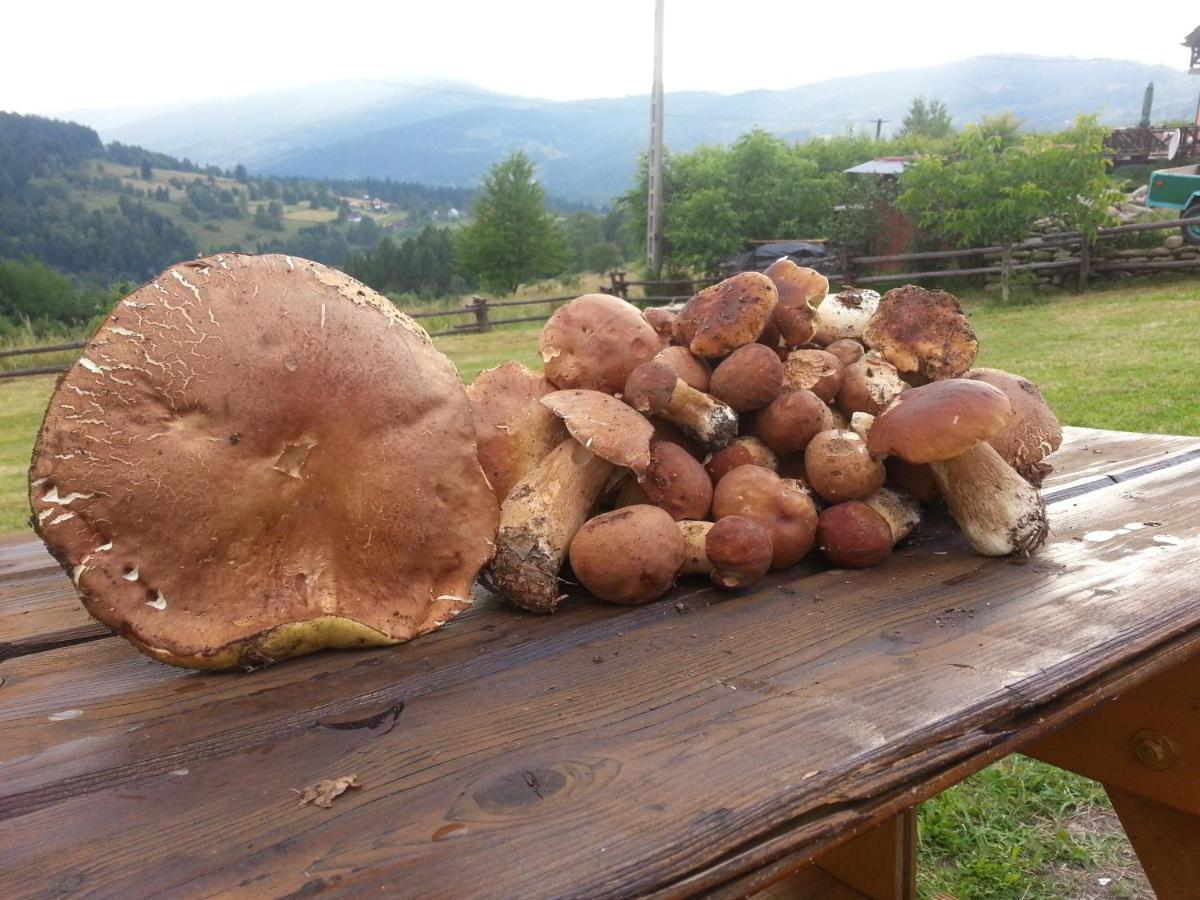 Babia Chata Zawoja Exterior foto